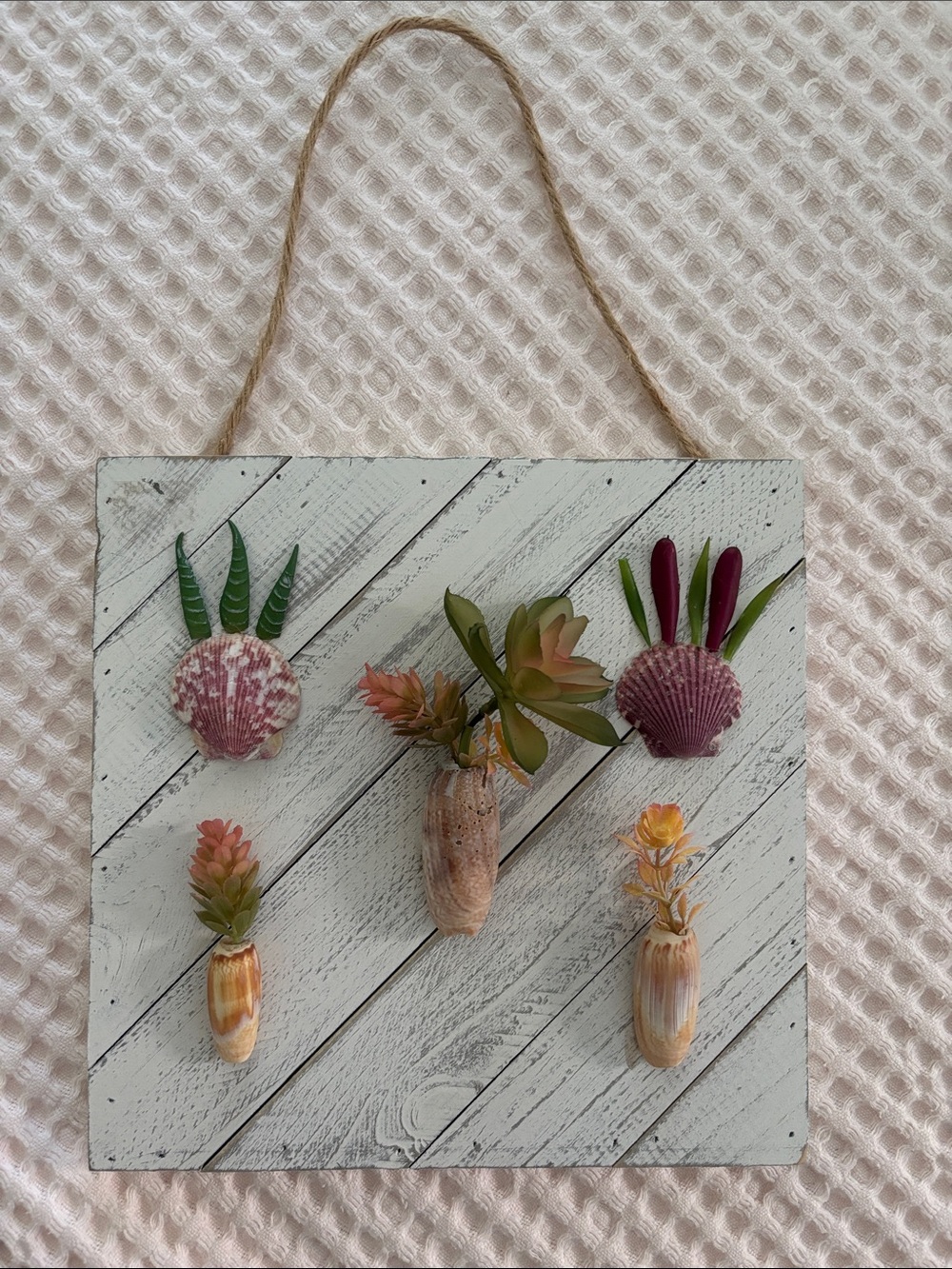 Seashell Succulent Wall Hanging - Pink & Green Home Wall Decor